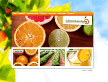 Tablet Screenshot of citricoslashadas.com